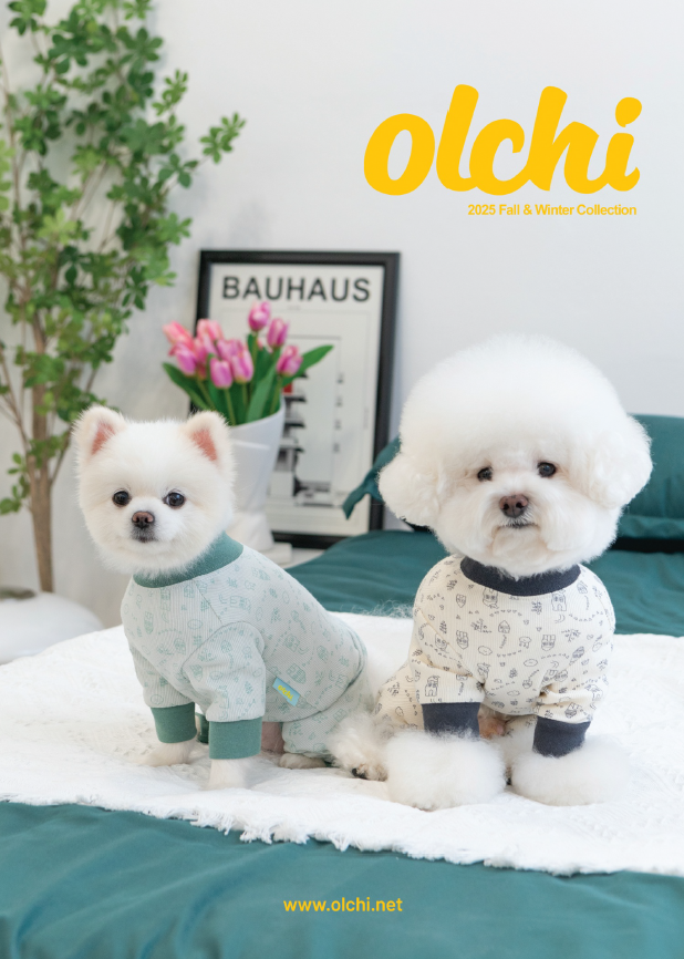 Olchi katalog kapağı