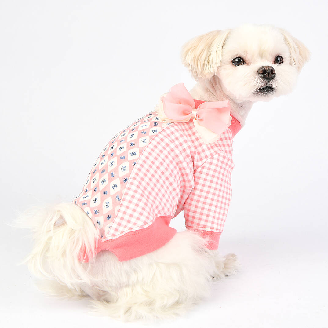 Alaia Köpek Kıyafeti - 6