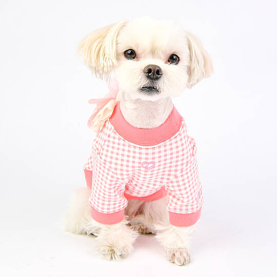 Alaia Köpek Kıyafeti - 8