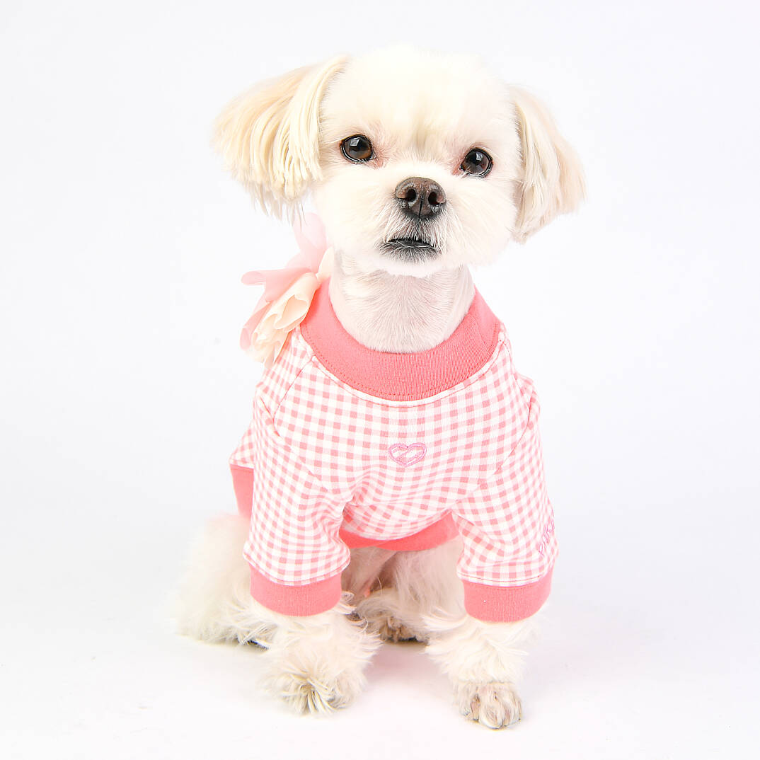 Alaia Köpek Kıyafeti - 8