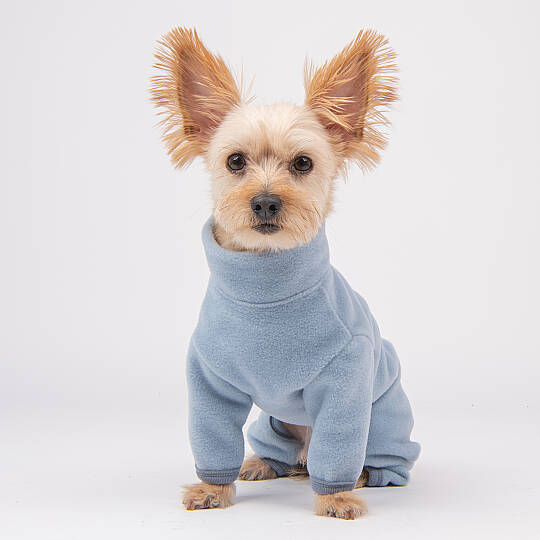 ALL IN ONE JUMPER / BLUE - 6