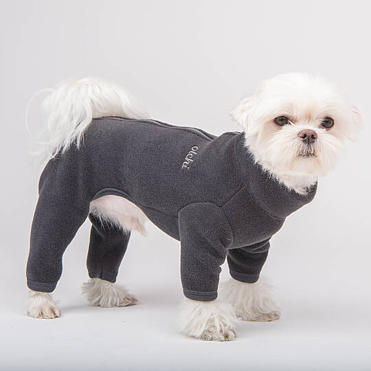 ALL IN ONE JUMPER / CHARCOAL GREY - 6