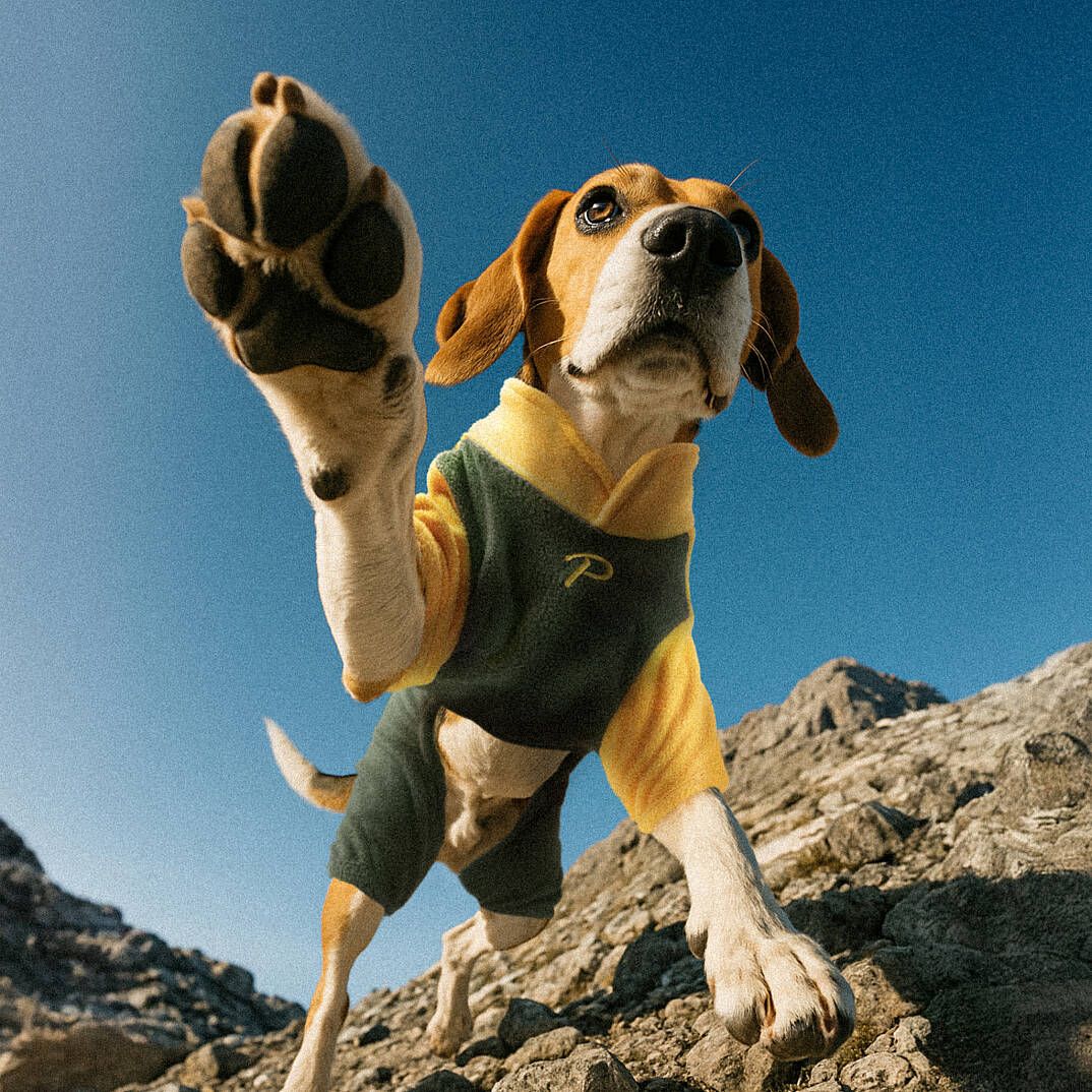 ALPINE FLEECE SUIT / YELLOW - 6