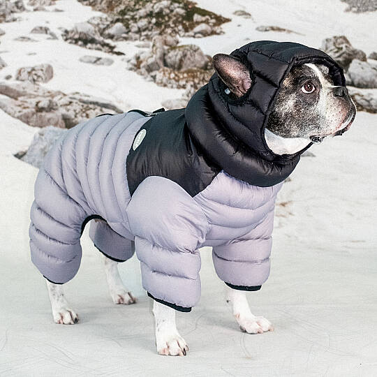 ALPINE PUFFER SUIT / SILVER GREY - 6