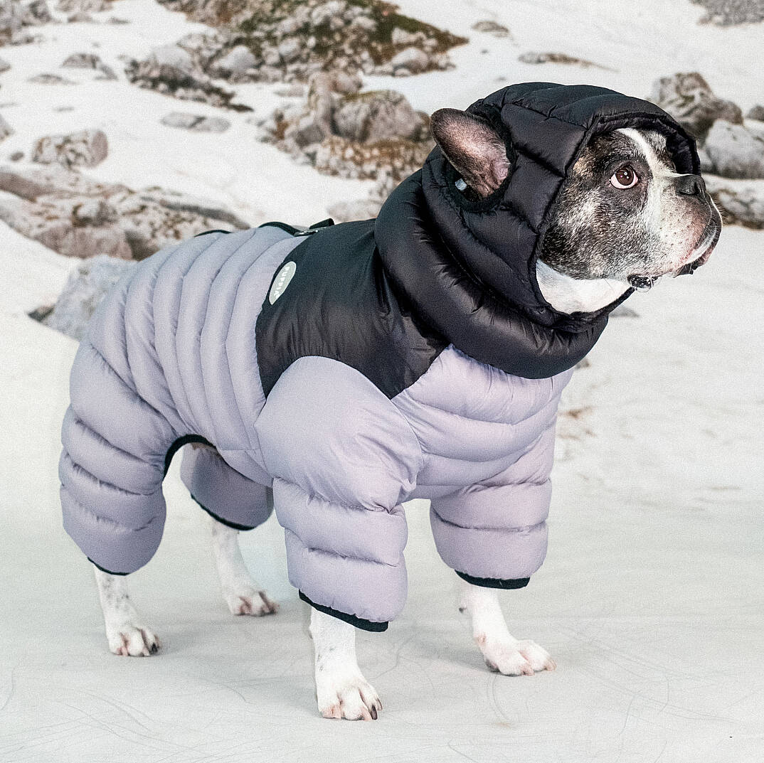 ALPINE PUFFER SUIT / SILVER GREY - 6