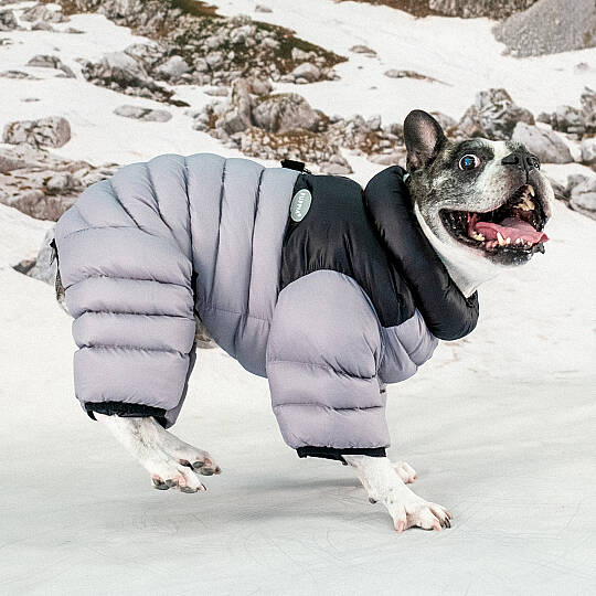 ALPINE PUFFER SUIT / SILVER GREY - 7