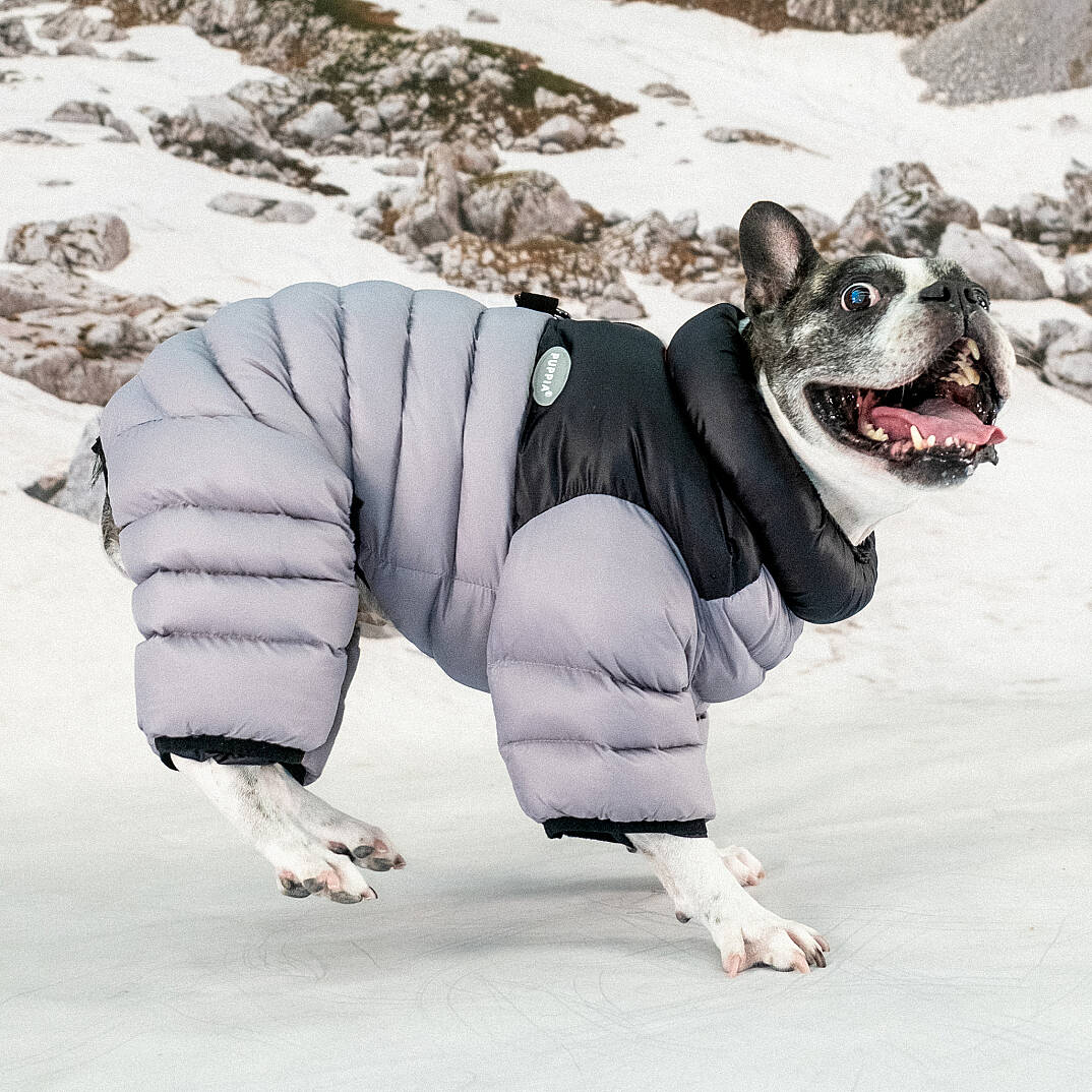 ALPINE PUFFER SUIT / SILVER GREY - 7