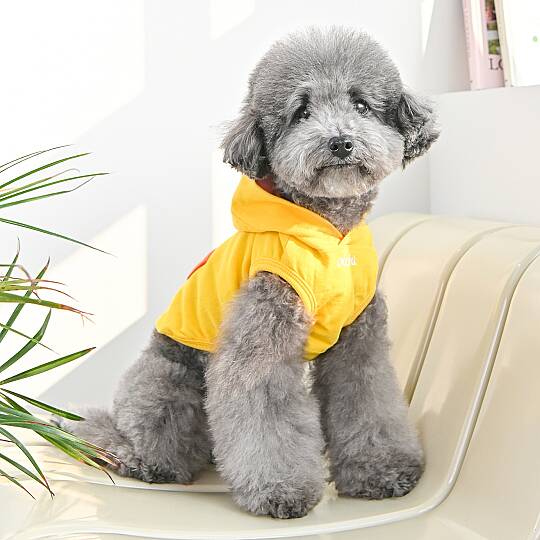 ANIMAL HOODIE / YELLOW - 3