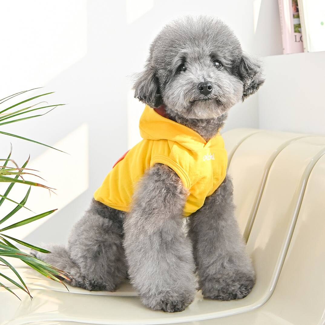 ANIMAL HOODIE / YELLOW - 3