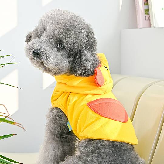 ANIMAL HOODIE / YELLOW - 4