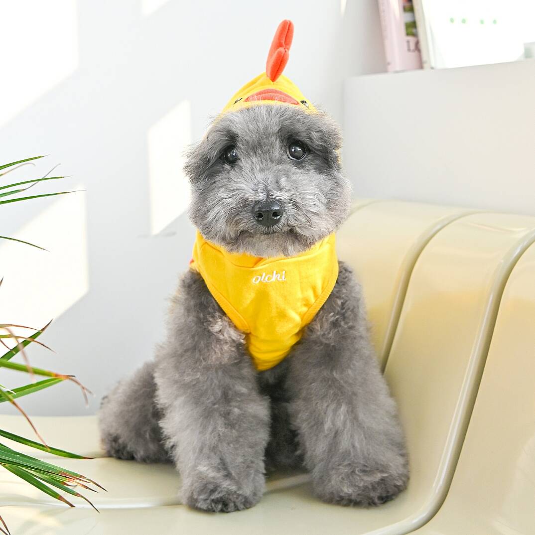 ANIMAL HOODIE / YELLOW - 5