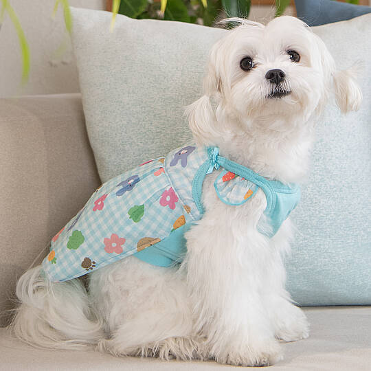 ANNABELLE/BLUE - 7