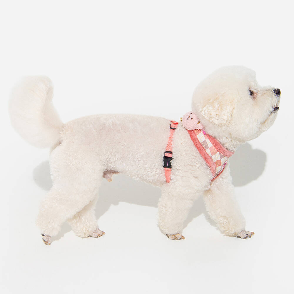 ANNIKA HARNESS/INDIAN PINK - 5