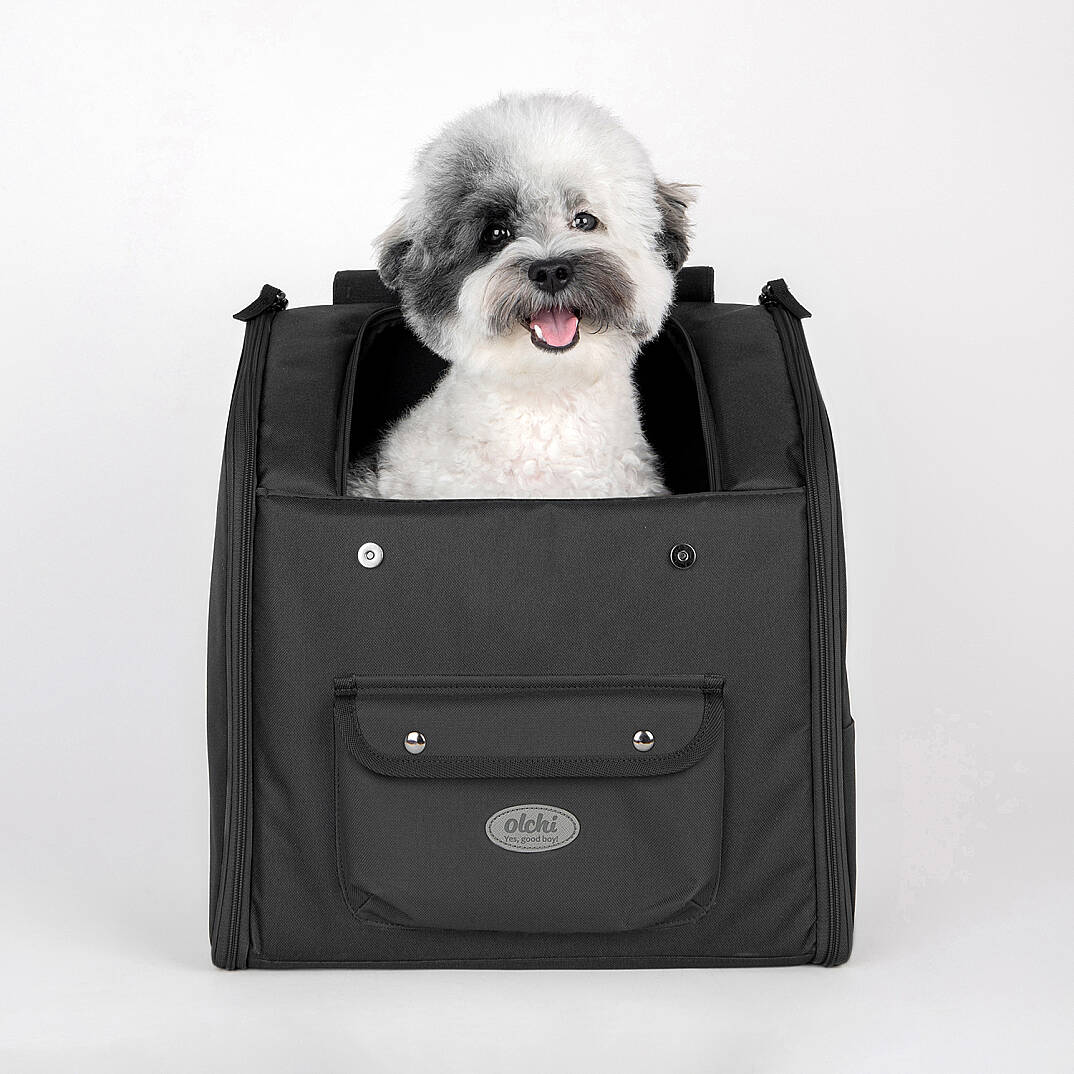 ANYWHERE BACKPACK / BLACK - 6