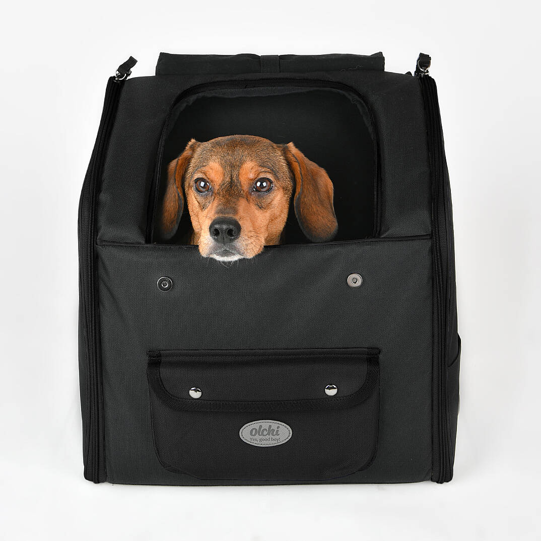ANYWHERE BACKPACK / BLACK - 8