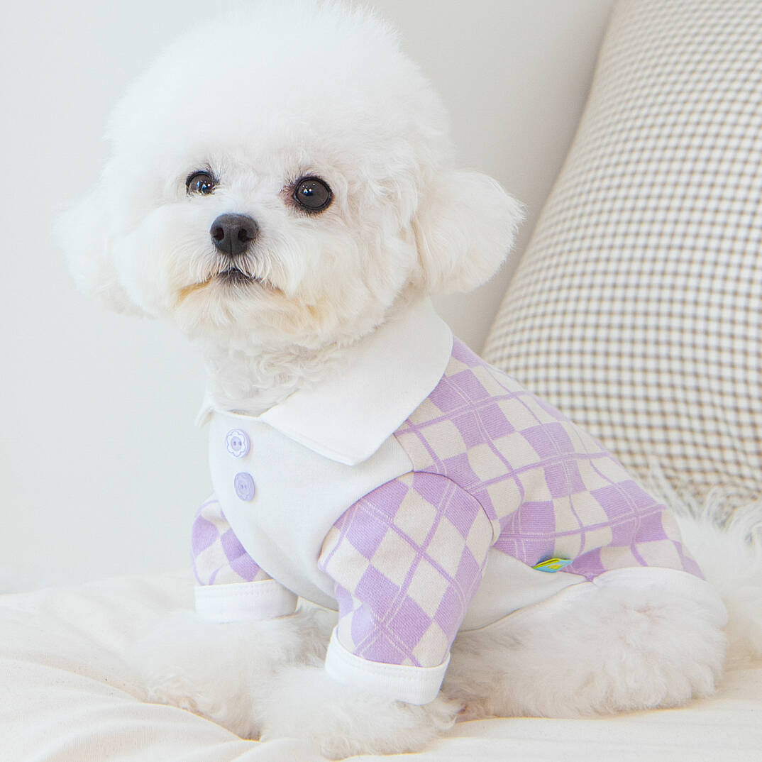 ARGYLE COLLAR KNIT / PURPLE - 7