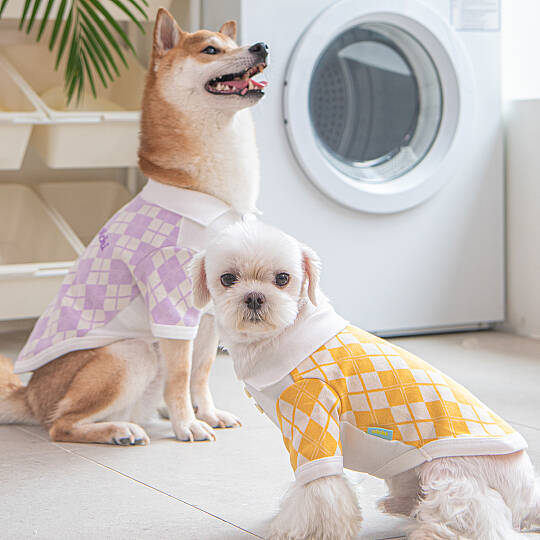 ARGYLE COLLAR KNIT / PURPLE - 6