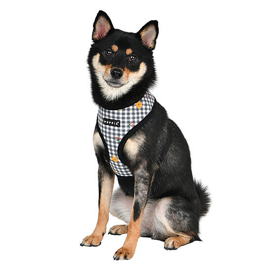 BABA HARNESS A / BLACK - 7