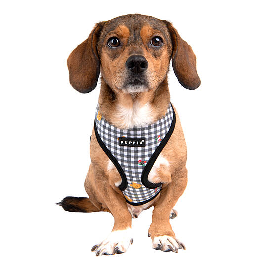 BABA HARNESS A / BLACK - 8