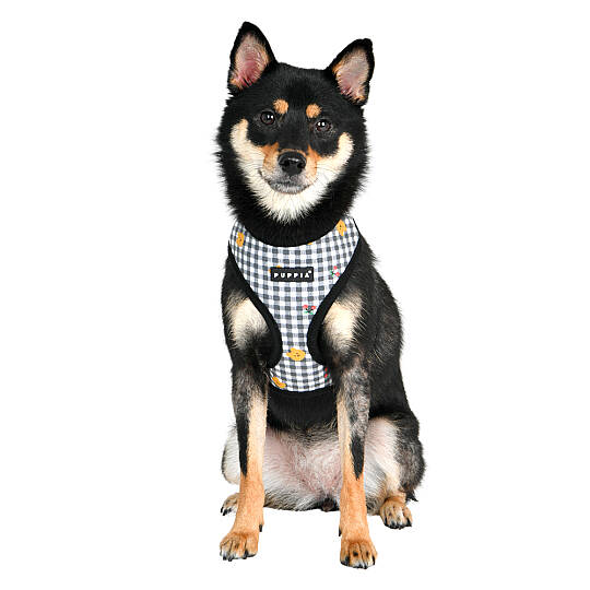 BABA HARNESS A / BLACK - 9