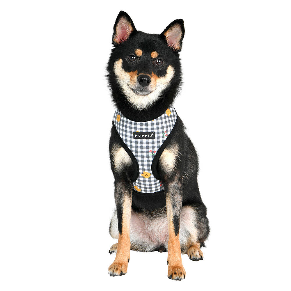 BABA HARNESS A / BLACK - 9