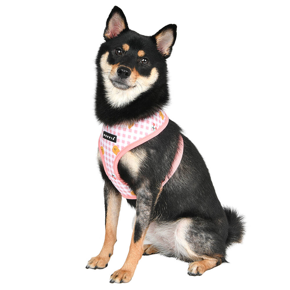 BABA HARNESS A / INDIAN PINK - 6