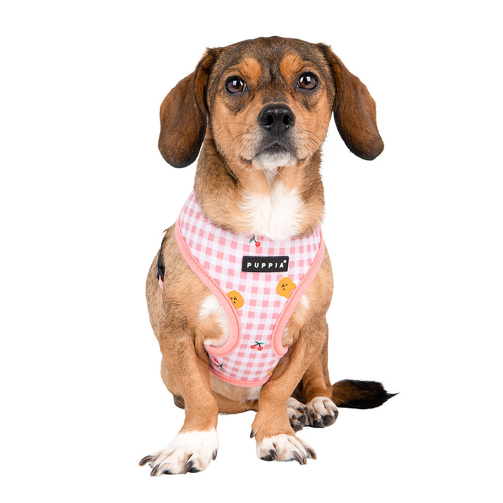 BABA HARNESS A / INDIAN PINK - 7