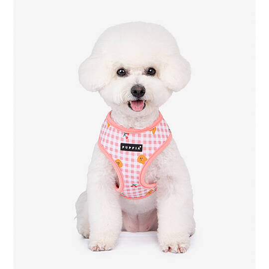 BABA HARNESS A / INDIAN PINK - 8