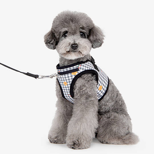 BABA HARNESS B / BLACK - 8
