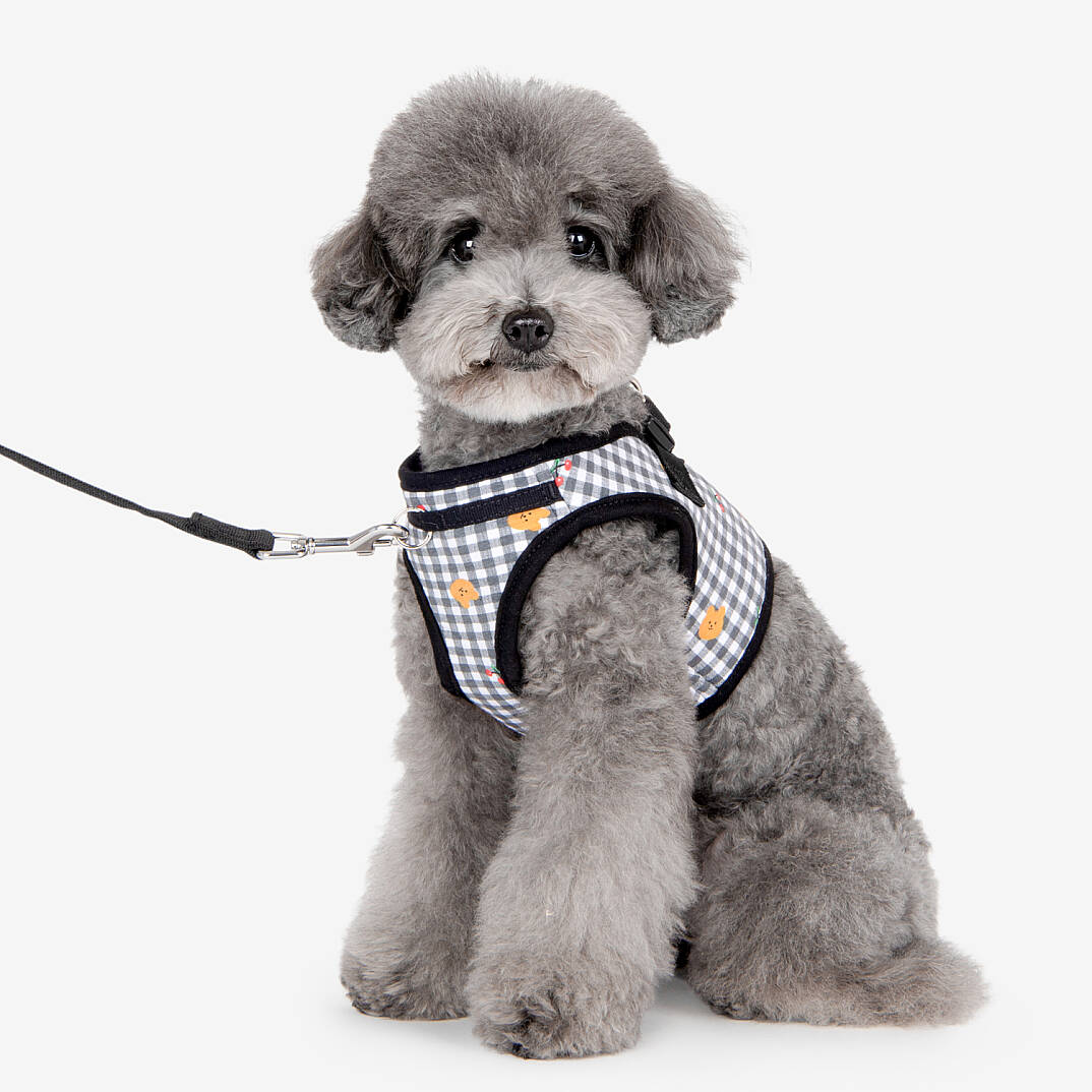 BABA HARNESS B / BLACK - 8