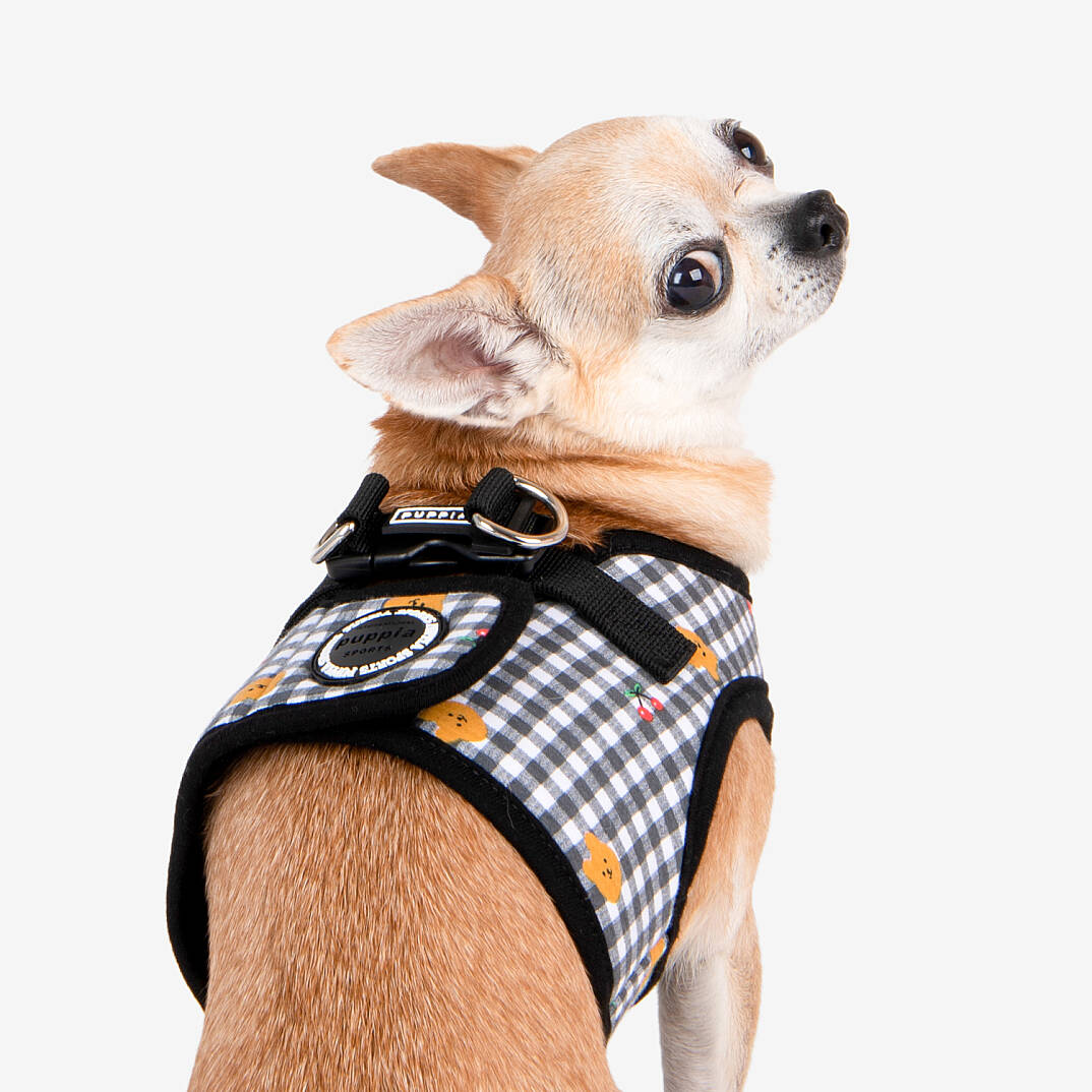 BABA HARNESS B / BLACK - 9