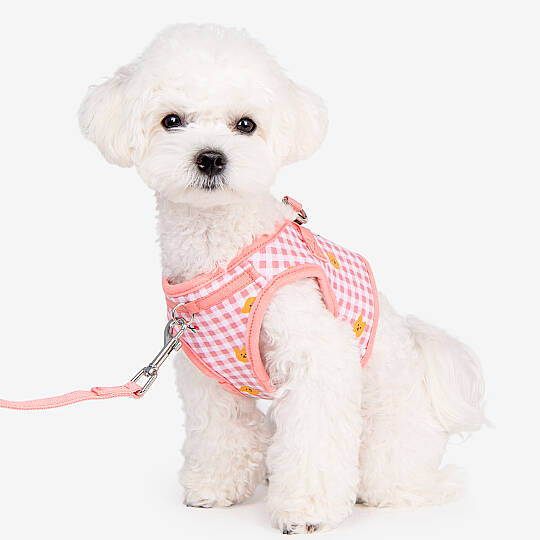 BABA HARNESS B / INDIAN PINK - 6