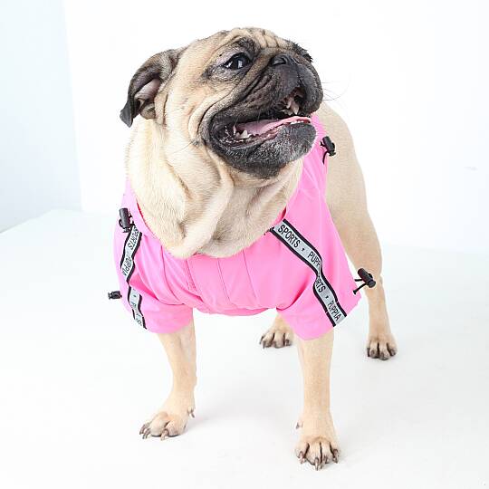BASE JUMPER / PINK - 3