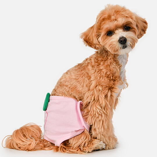Berry Peach Panty/PINK - 7