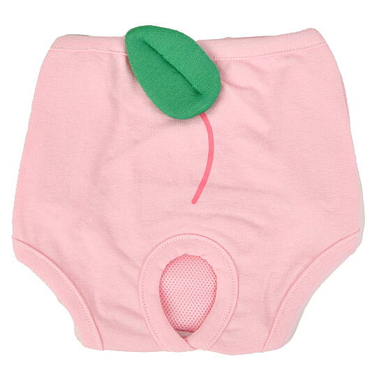 Berry Peach Panty/PINK