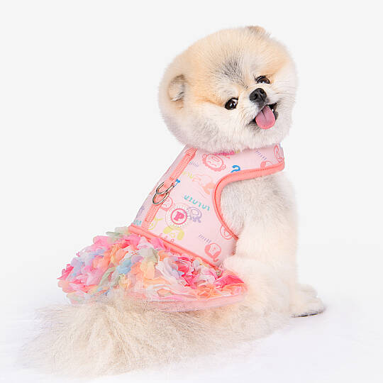 BERTHE HARNESS D / INDIAN PINK - 8