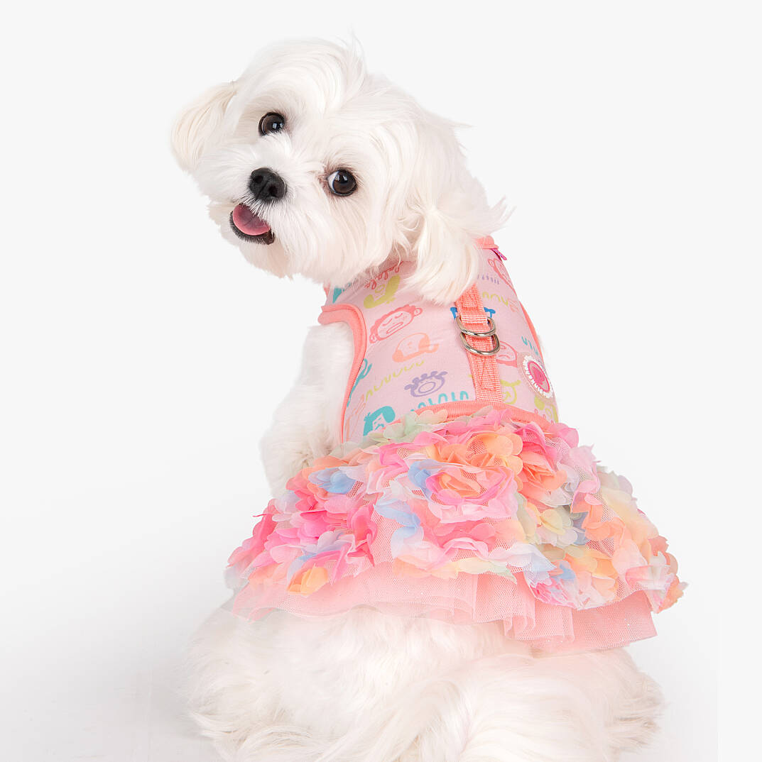 BERTHE HARNESS D / INDIAN PINK - 9