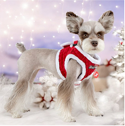 BLITZEN HARNESS B PAQD-AH1470-RD - 3