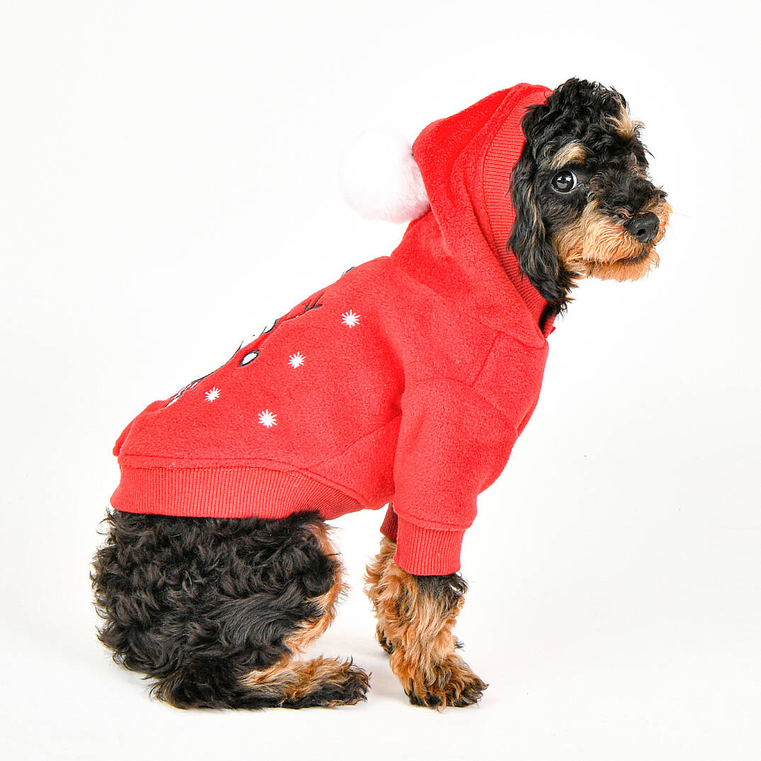 BLITZEN / RED - 8
