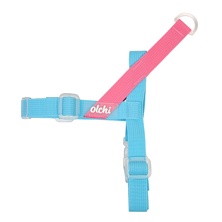 BONGBONG V HARNESS / SKY BLUE - 2