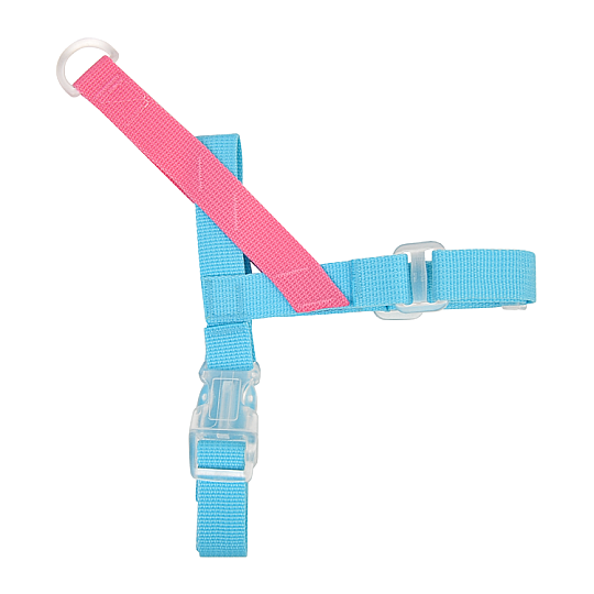 BONGBONG V HARNESS / SKY BLUE - 5