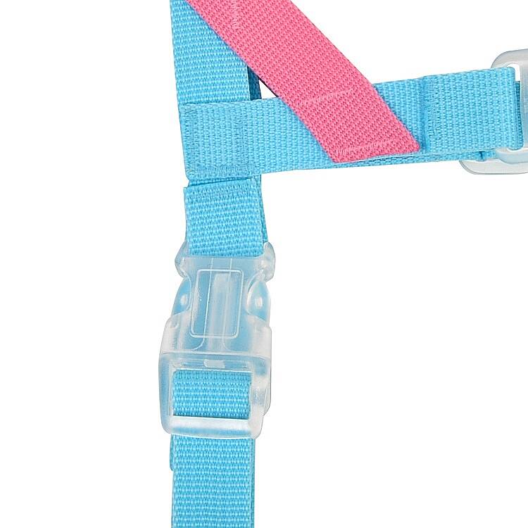 BONGBONG V HARNESS / SKY BLUE - 4