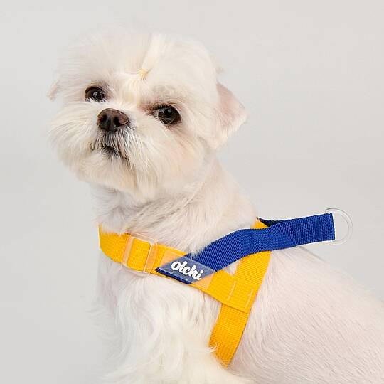 BONGBONG V HARNESS / YELLOW - 6