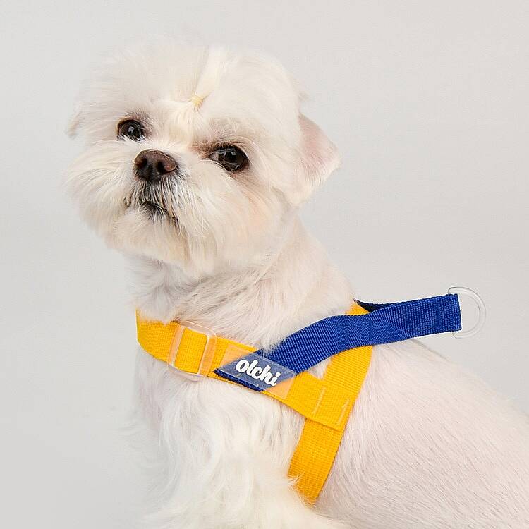 BONGBONG V HARNESS / YELLOW - 6