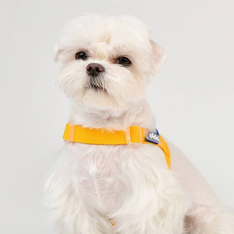 BONGBONG V HARNESS / YELLOW - 8