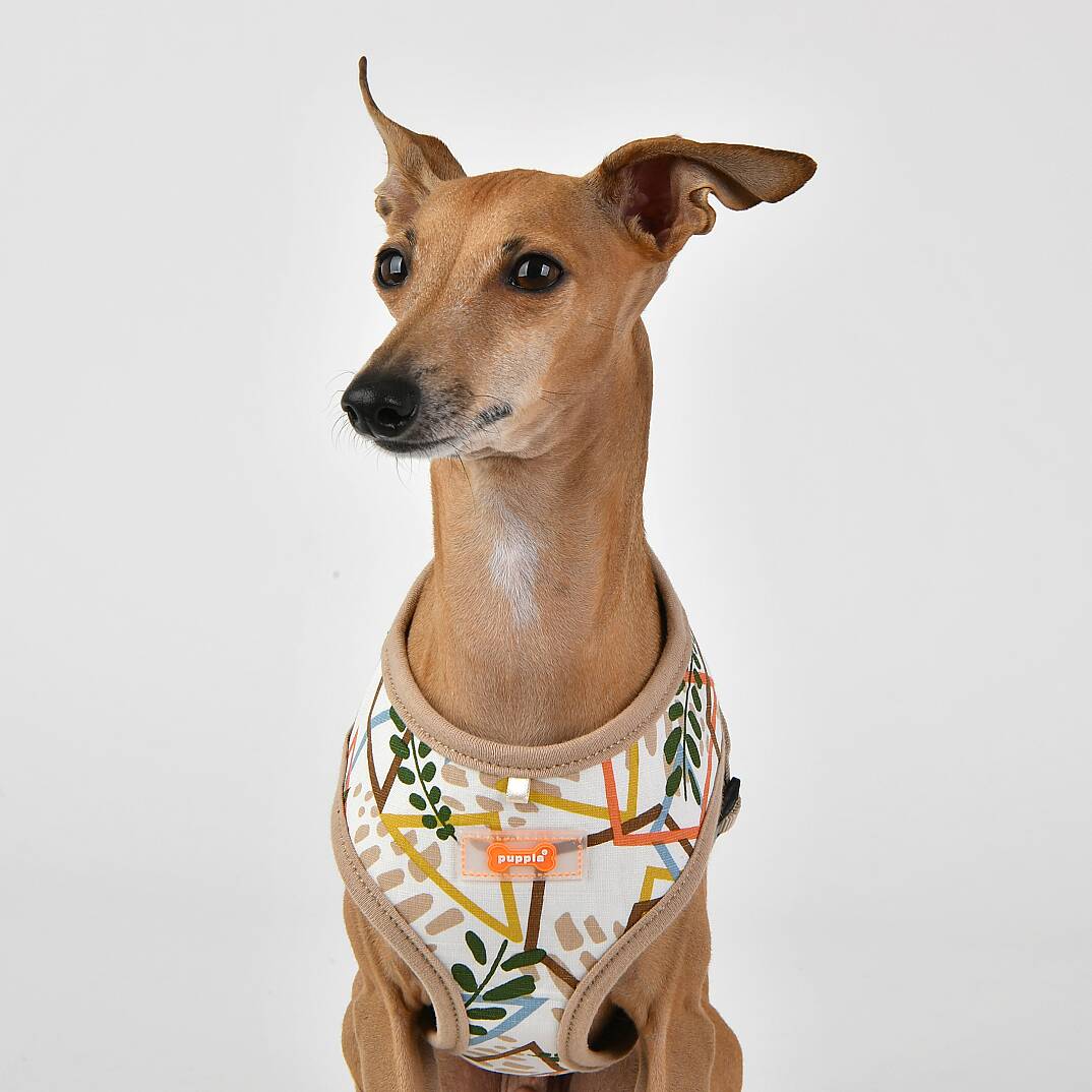 BOTANICAL HARNESS A / BEIGE - 8