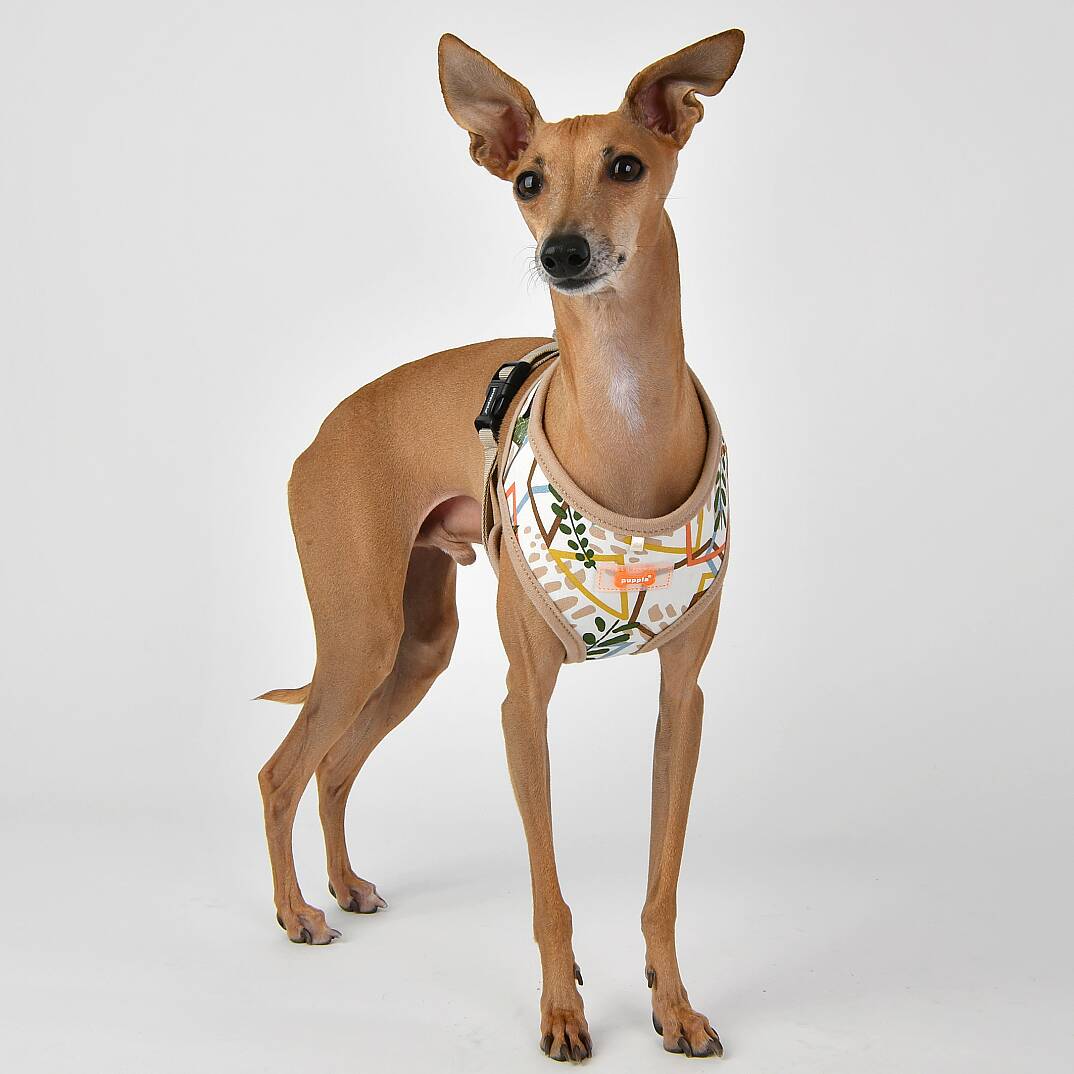 BOTANICAL HARNESS A / BEIGE - 6