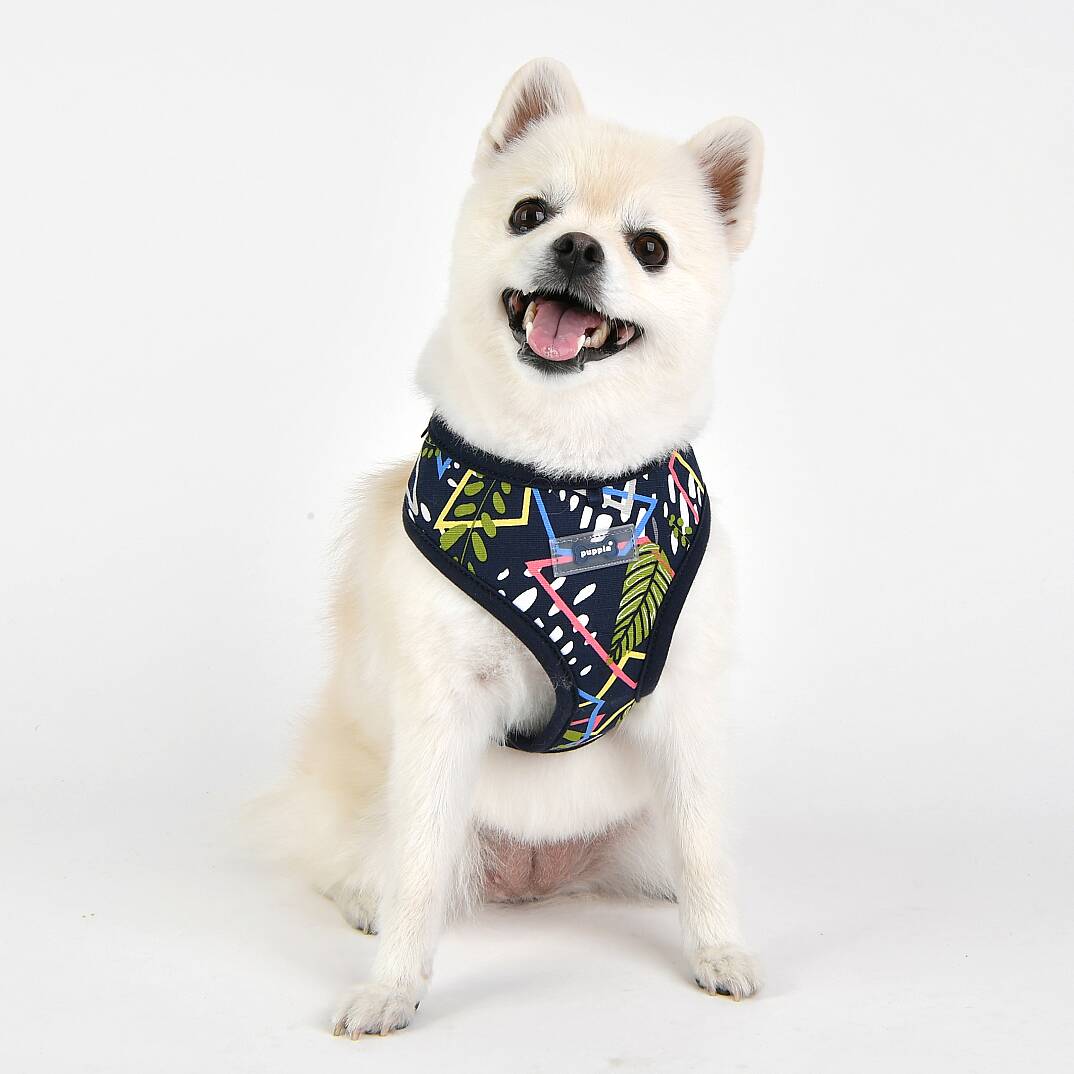 BOTANICAL HARNESS A / NAVY - 6