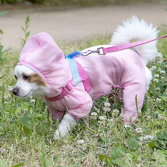 BUG SHIELD MESH SUIT / PINK - 8