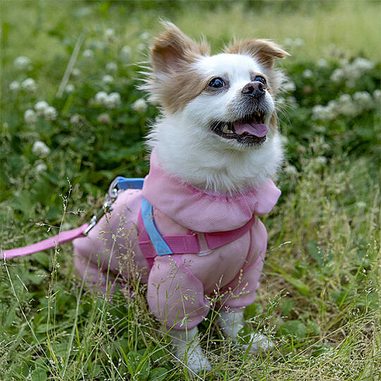 BUG SHIELD MESH SUIT / PINK - 9